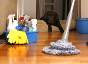 basic cleaning service Melbourne